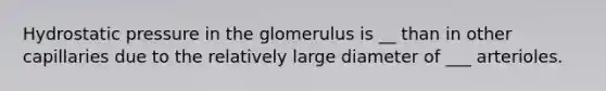 Hydrostatic pressure in the glomerulus is __ than in other capillaries due to the relatively large diameter of ___ arterioles.