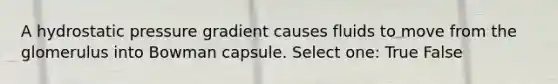 A hydrostatic pressure gradient causes fluids to move from the glomerulus into Bowman capsule. Select one: True False