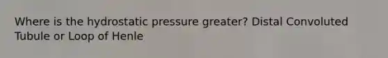 Where is the hydrostatic pressure greater? Distal Convoluted Tubule or Loop of Henle
