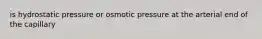 is hydrostatic pressure or osmotic pressure at the arterial end of the capillary