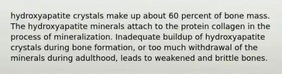 hydroxyapatite crystals make up about 60 percent of bone mass. The hydroxyapatite minerals attach to the protein collagen in the process of mineralization. Inadequate buildup of hydroxyapatite crystals during bone formation, or too much withdrawal of the minerals during adulthood, leads to weakened and brittle bones.