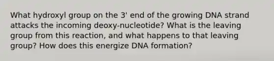 What hydroxyl group on the 3' end of the growing DNA strand attacks the incoming deoxy-nucleotide? What is the leaving group from this reaction, and what happens to that leaving group? How does this energize DNA formation?