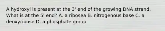 A hydroxyl is present at the 3' end of the growing DNA strand. What is at the 5' end? A. a ribosea B. nitrogenous base C. a deoxyribose D. a phosphate group