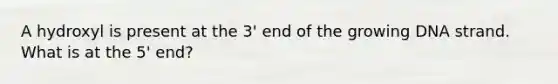 A hydroxyl is present at the 3' end of the growing DNA strand. What is at the 5' end?