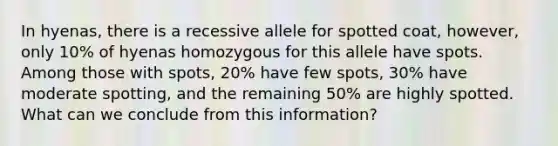 In hyenas, there is a recessive allele for spotted coat, however, only 10% of hyenas homozygous for this allele have spots. Among those with spots, 20% have few spots, 30% have moderate spotting, and the remaining 50% are highly spotted. What can we conclude from this information?