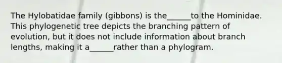The Hylobatidae family (gibbons) is the______to the Hominidae. This phylogenetic tree depicts the branching pattern of evolution, but it does not include information about branch lengths, making it a______rather than a phylogram.