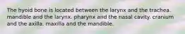 The hyoid bone is located between the larynx and the trachea. mandible and the larynx. pharynx and the nasal cavity. cranium and the axilla. maxilla and the mandible.