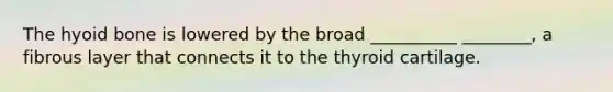 The hyoid bone is lowered by the broad __________ ________, a fibrous layer that connects it to the thyroid cartilage.