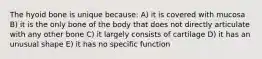 The hyoid bone is unique because: A) it is covered with mucosa B) it is the only bone of the body that does not directly articulate with any other bone C) it largely consists of cartilage D) it has an unusual shape E) it has no specific function