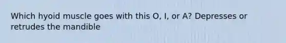 Which hyoid muscle goes with this O, I, or A? Depresses or retrudes the mandible