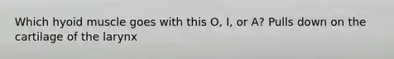 Which hyoid muscle goes with this O, I, or A? Pulls down on the cartilage of the larynx