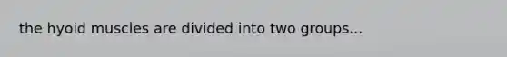 the hyoid muscles are divided into two groups...