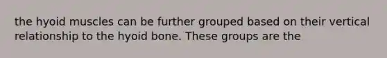 the hyoid muscles can be further grouped based on their vertical relationship to the hyoid bone. These groups are the