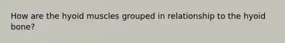 How are the hyoid muscles grouped in relationship to the hyoid bone?