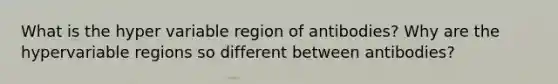 What is the hyper variable region of antibodies? Why are the hypervariable regions so different between antibodies?