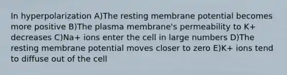 In hyperpolarization A)The resting membrane potential becomes more positive B)The plasma membrane's permeability to K+ decreases C)Na+ ions enter the cell in large numbers D)The resting membrane potential moves closer to zero E)K+ ions tend to diffuse out of the cell