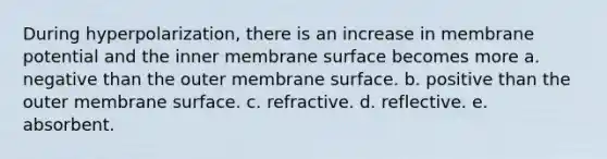 During hyperpolarization, there is an increase in membrane potential and the inner membrane surface becomes more a. negative than the outer membrane surface. b. positive than the outer membrane surface. c. refractive. d. reflective. e. absorbent.