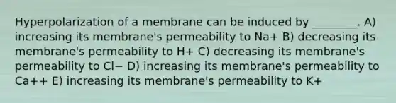 Hyperpolarization of a membrane can be induced by ________. A) increasing its membrane's permeability to Na+ B) decreasing its membrane's permeability to H+ C) decreasing its membrane's permeability to Cl− D) increasing its membrane's permeability to Ca++ E) increasing its membrane's permeability to K+