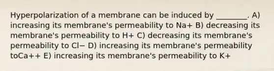 Hyperpolarization of a membrane can be induced by ________. A) increasing its membrane's permeability to Na+ B) decreasing its membrane's permeability to H+ C) decreasing its membrane's permeability to Cl− D) increasing its membrane's permeability toCa++ E) increasing its membrane's permeability to K+