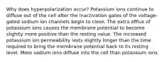 Why does hyperpolarization occur? Potassium ions continue to diffuse out of the cell after the inactivation gates of the voltage-gated sodium ion channels begin to close. The extra efflux of potassium ions causes the membrane potential to become slightly more positive than the resting value. The increased potassium ion permeability lasts slightly longer than the time required to bring the membrane potential back to its resting level. More sodium ions diffuse into the cell than potassium ions