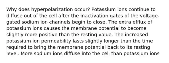 Why does hyperpolarization occur? Potassium ions continue to diffuse out of the cell after the inactivation gates of the voltage-gated sodium ion channels begin to close. The extra efflux of potassium ions causes the membrane potential to become slightly more positive than the resting value. The increased potassium ion permeability lasts slightly longer than the time required to bring the membrane potential back to its resting level. More sodium ions diffuse into the cell than potassium ions