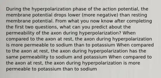 During the hyperpolarization phase of the action potential, the membrane potential drops lower (more negative) than resting membrane potential. From what you now know after completing the first two questions, what can you predict about the permeability of the axon during hyperpolarization? When compared to the axon at rest, the axon during hyperpolarization is more permeable to sodium than to potassium When compared to the axon at rest, the axon during hyperpolarization has the same permeability to sodium and potassium When compared to the axon at rest, the axon during hyperpolarization is more permeable to potassium than to sodium