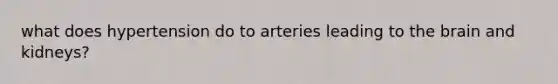 what does hypertension do to arteries leading to the brain and kidneys?