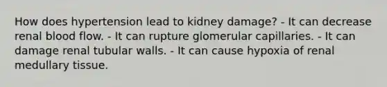 How does hypertension lead to kidney damage? - It can decrease renal blood flow. - It can rupture glomerular capillaries. - It can damage renal tubular walls. - It can cause hypoxia of renal medullary tissue.