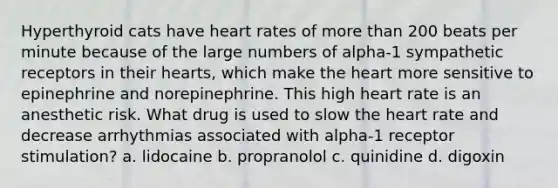 Hyperthyroid cats have heart rates of more than 200 beats per minute because of the large numbers of alpha-1 sympathetic receptors in their hearts, which make the heart more sensitive to epinephrine and norepinephrine. This high heart rate is an anesthetic risk. What drug is used to slow the heart rate and decrease arrhythmias associated with alpha-1 receptor stimulation? a. lidocaine b. propranolol c. quinidine d. digoxin