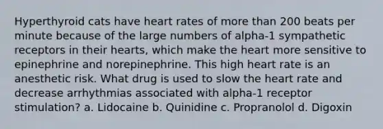 Hyperthyroid cats have heart rates of more than 200 beats per minute because of the large numbers of alpha-1 sympathetic receptors in their hearts, which make the heart more sensitive to epinephrine and norepinephrine. This high heart rate is an anesthetic risk. What drug is used to slow the heart rate and decrease arrhythmias associated with alpha-1 receptor stimulation? a. Lidocaine b. Quinidine c. Propranolol d. Digoxin