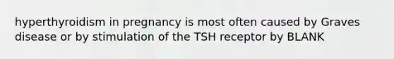 hyperthyroidism in pregnancy is most often caused by Graves disease or by stimulation of the TSH receptor by BLANK