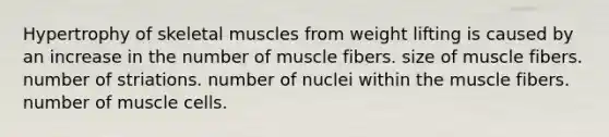 Hypertrophy of skeletal muscles from weight lifting is caused by an increase in the number of muscle fibers. size of muscle fibers. number of striations. number of nuclei within the muscle fibers. number of muscle cells.