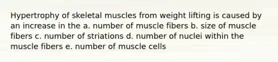 Hypertrophy of skeletal muscles from weight lifting is caused by an increase in the a. number of muscle fibers b. size of muscle fibers c. number of striations d. number of nuclei within the muscle fibers e. number of muscle cells