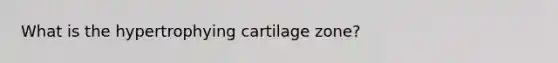 What is the hypertrophying cartilage zone?