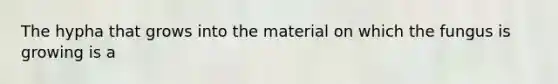 The hypha that grows into the material on which the fungus is growing is a