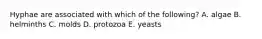 Hyphae are associated with which of the following? A. algae B. helminths C. molds D. protozoa E. yeasts