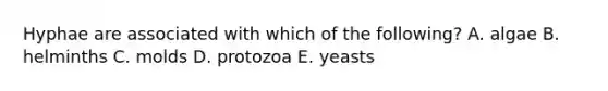 Hyphae are associated with which of the following? A. algae B. helminths C. molds D. protozoa E. yeasts