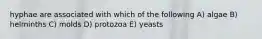 hyphae are associated with which of the following A) algae B) helminths C) molds D) protozoa E) yeasts