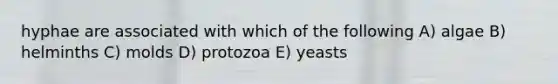 hyphae are associated with which of the following A) algae B) helminths C) molds D) protozoa E) yeasts