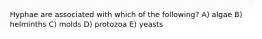 Hyphae are associated with which of the following? A) algae B) helminths C) molds D) protozoa E) yeasts