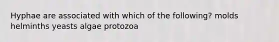 Hyphae are associated with which of the following? molds helminths yeasts algae protozoa