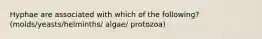 Hyphae are associated with which of the following? (molds/yeasts/helminths/ algae/ protozoa)