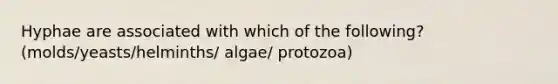 Hyphae are associated with which of the following? (molds/yeasts/helminths/ algae/ protozoa)