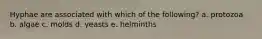 Hyphae are associated with which of the following? a. protozoa b. algae c. molds d. yeasts e. helminths