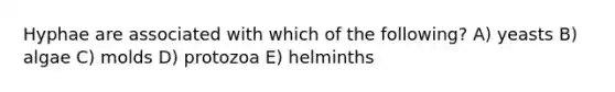 Hyphae are associated with which of the following? A) yeasts B) algae C) molds D) protozoa E) helminths