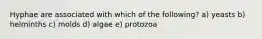 Hyphae are associated with which of the following? a) yeasts b) helminths c) molds d) algae e) protozoa