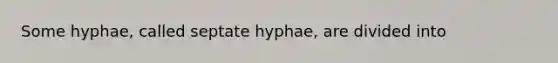 Some hyphae, called septate hyphae, are divided into