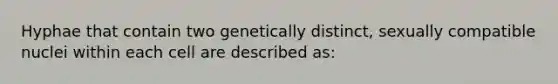 Hyphae that contain two genetically distinct, sexually compatible nuclei within each cell are described as: