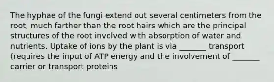 The hyphae of the fungi extend out several centimeters from the root, much farther than the root hairs which are the principal structures of the root involved with absorption of water and nutrients. Uptake of ions by the plant is via _______ transport (requires the input of ATP energy and the involvement of _______ carrier or transport proteins