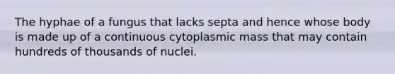 The hyphae of a fungus that lacks septa and hence whose body is made up of a continuous cytoplasmic mass that may contain hundreds of thousands of nuclei.